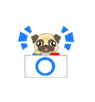 Pugsuke（個別スタンプ：17）