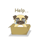 Pugsuke（個別スタンプ：22）