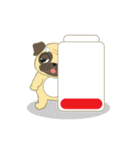 Pugsuke（個別スタンプ：35）