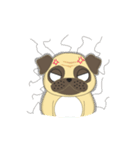 Pugsuke（個別スタンプ：36）