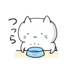 無表情猫スタンプ（個別スタンプ：6）