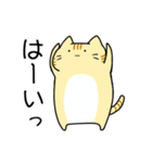 無表情猫スタンプ（個別スタンプ：22）