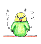 幸せ運ぶインコのハーブ ～時々リーフ～（個別スタンプ：26）