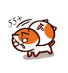 Mr. Meowbar（個別スタンプ：8）