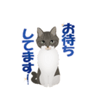 猫のちび太と仲間達（個別スタンプ：5）