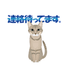 猫のちび太と仲間達（個別スタンプ：7）