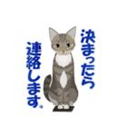 猫のちび太と仲間達（個別スタンプ：8）