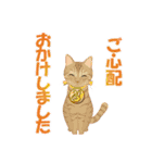 猫のちび太と仲間達（個別スタンプ：16）