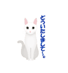 猫のちび太と仲間達（個別スタンプ：19）