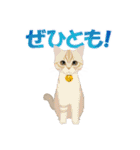 猫のちび太と仲間達（個別スタンプ：22）