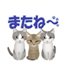 猫のちび太と仲間達（個別スタンプ：26）