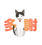 猫のちび太と仲間達（個別スタンプ：33）