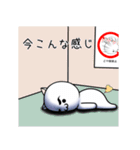 眉毛君（個別スタンプ：5）