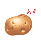 ILOVEPotato（個別スタンプ：17）