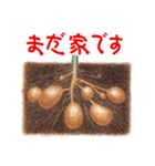 ILOVEPotato（個別スタンプ：21）