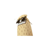 Alpaca is Alpanald（個別スタンプ：24）