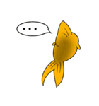 金魚の小ちゃん（個別スタンプ：26）