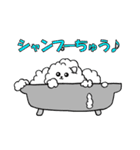 毎日わんこと一緒（個別スタンプ：12）