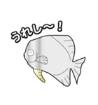 シミラン諸島のお魚集まれ〜！（個別スタンプ：3）