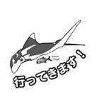 シミラン諸島のお魚集まれ〜！（個別スタンプ：13）