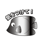 シミラン諸島のお魚集まれ〜！（個別スタンプ：36）