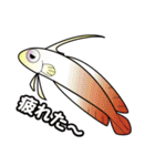 シミラン諸島のお魚集まれ〜！（個別スタンプ：38）