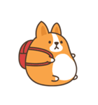 Belly Corgi コーギー（個別スタンプ：24）