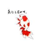 江戸金魚（個別スタンプ：37）