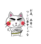 Bushi Cat（個別スタンプ：16）