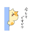 敬語でぶち猫にゃんちゃん3。（個別スタンプ：25）