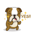 Dai the Bully Bulldog（個別スタンプ：35）