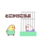 使いやすい彼ピッピ（インコ）（個別スタンプ：7）