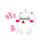 Hello White Cat（個別スタンプ：4）