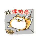 Small bad cat baby（個別スタンプ：37）