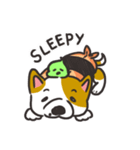 Sushi is my dog (ver.2)（個別スタンプ：3）