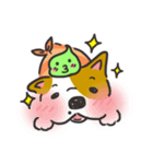 Sushi is my dog (ver.2)（個別スタンプ：7）