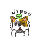 Sushi is my dog (ver.2)（個別スタンプ：9）