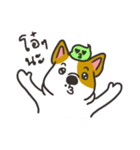 Sushi is my dog (ver.2)（個別スタンプ：23）