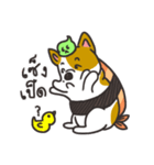 Sushi is my dog (ver.2)（個別スタンプ：24）