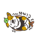 Sushi is my dog (ver.2)（個別スタンプ：25）