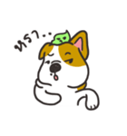 Sushi is my dog (ver.2)（個別スタンプ：30）