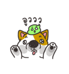 Sushi is my dog (ver.2)（個別スタンプ：36）