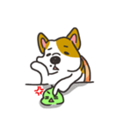 Sushi is my dog (ver.2)（個別スタンプ：40）