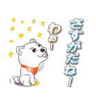 柴犬シロの日常 vol.3（個別スタンプ：15）