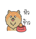 Pomeranian Brownie ＆ friends（個別スタンプ：6）