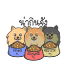 Pomeranian Brownie ＆ friends（個別スタンプ：16）