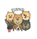 Pomeranian Brownie ＆ friends（個別スタンプ：36）