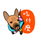 So cute dog (Mix)（個別スタンプ：2）