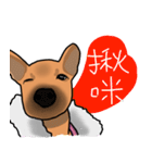 So cute dog (Mix)（個別スタンプ：7）