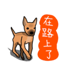 So cute dog (Mix)（個別スタンプ：10）